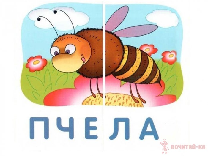 Обучающие пазлы. Слова из 2 слогов. Новый