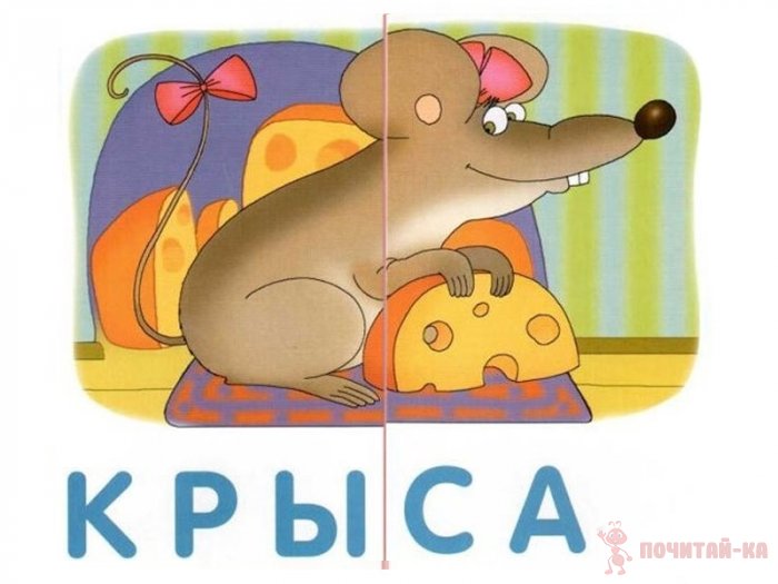 Обучающие пазлы. Слова из 2 слогов. Новый
