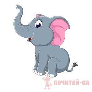 слон